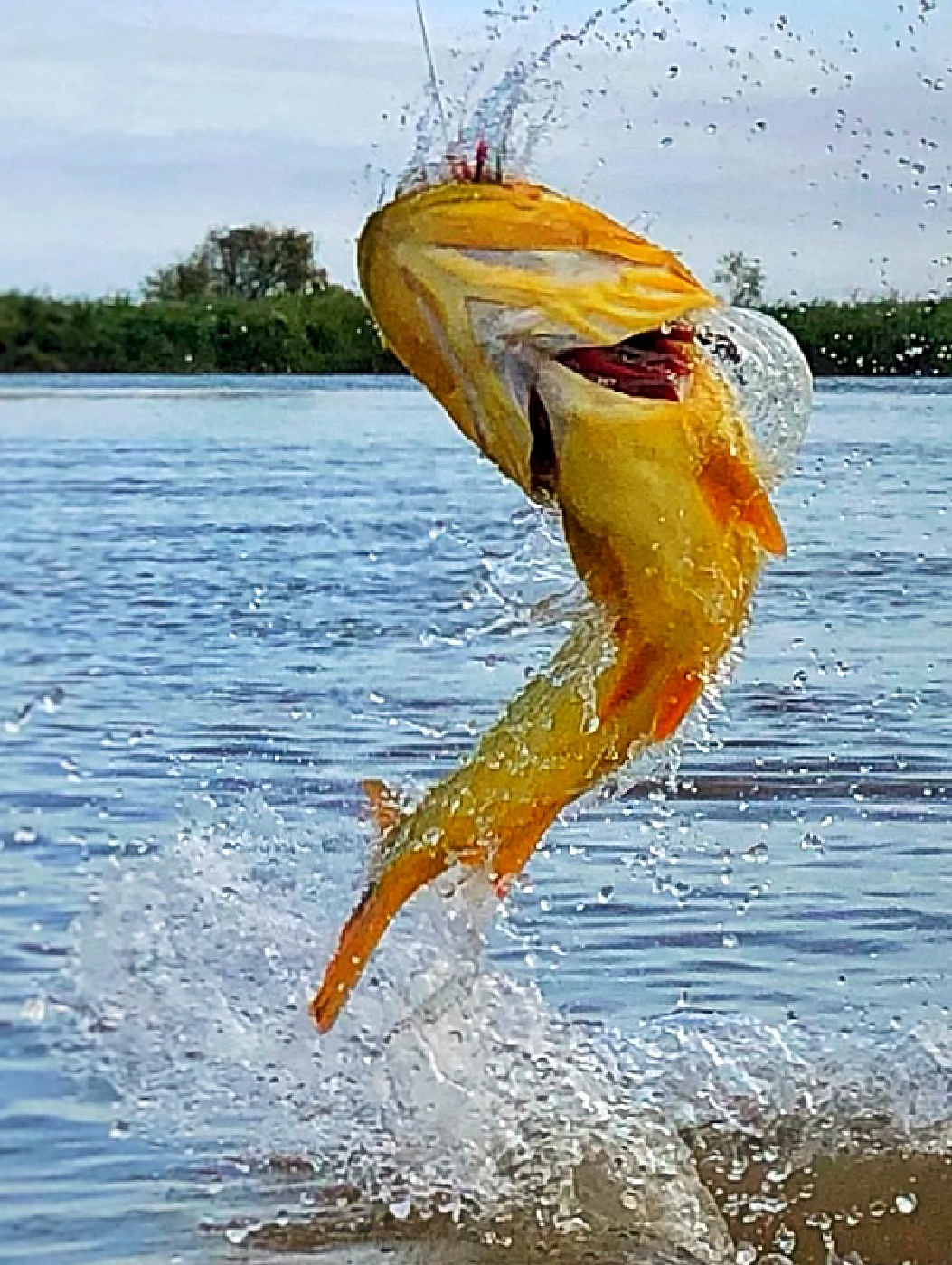 GALLERY Estancia Laguna Verde